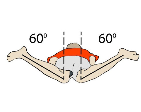 Hip Flexibility Test